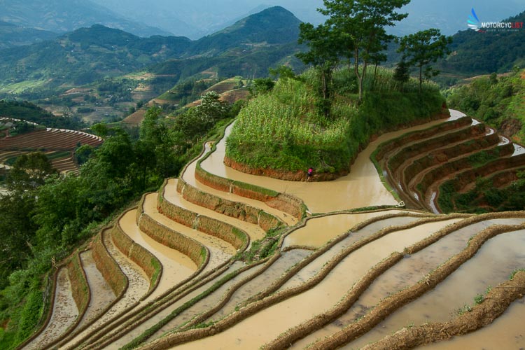 Rice terraces of Hoang Su Phi, Vietnam