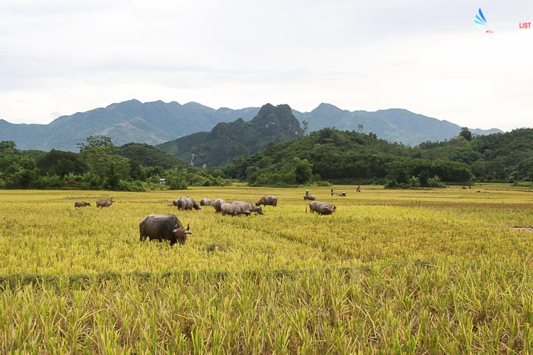 Scenery on the way to Pu Luong