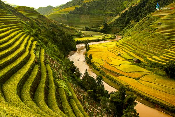 Motorbike tours Hanoi