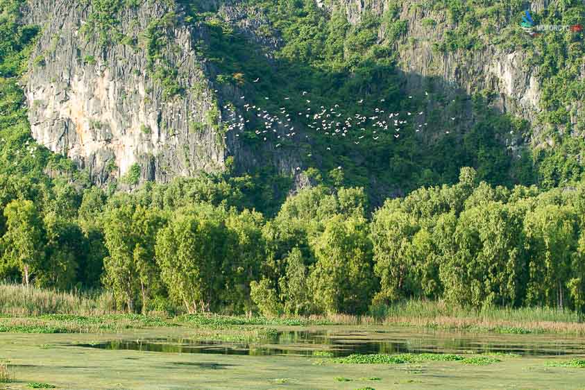 Motorbike tour to Van Long, Ninh Binh