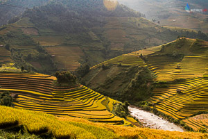 <b>Mu Cang Chai</b> Motorbiking in the gold season